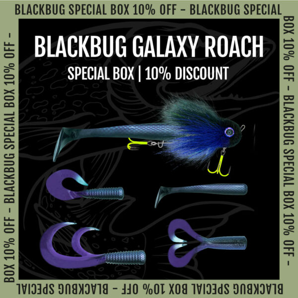 BLACKBUG GALAXY ROACH BUNDLE | Blackbay Fishing Shop