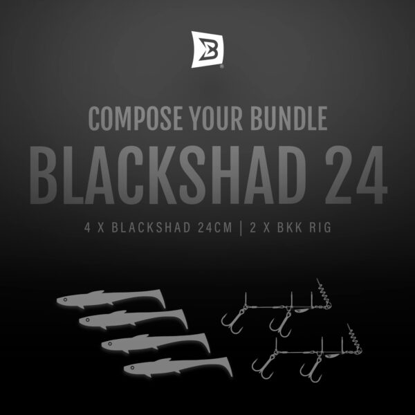 BlackShad 24cm + BKK Stinger Bundle