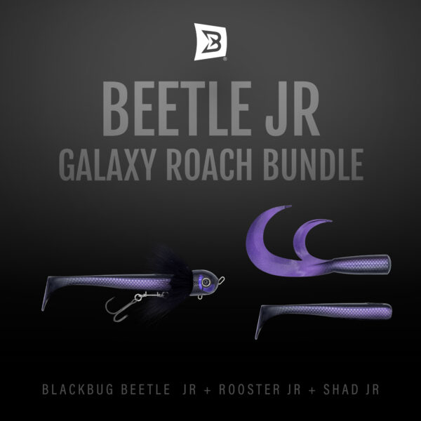 BlackBug Beetle JR Bundle | GALAXY ROACH