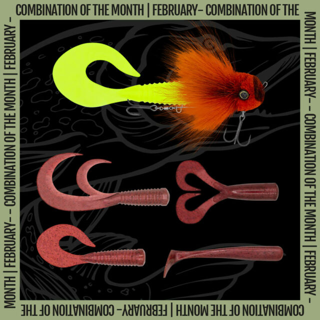 Red is one of the most used color for pike fishing in any water and the February’s color combination of the month is pure fire! 🔥

• BlackBug - Nuclear Orange
• BlackTail Curly L - Bloody Red
• BlackTail Double L - Bloody Red
• BlackTail Shad L - Bloody Red
• BlackTail Rooster - Bloody Red

Offer expire on February 28th.
.
.
.
.
#blackbayfishing #blackbay #fishinglures #bkkhooks #fishing #pikelures #fishinglife #pikefishing #pike #gädda #luccio #softbait #hecht #esox #gäddfiske #hauki #snoek #brochet #bigpike #catchandrelease #bigbait #predatorfishing #lurefishing #fishinglures