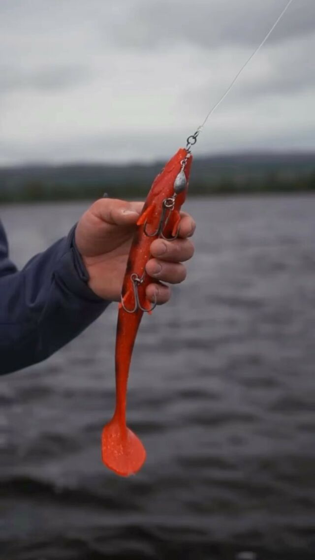 Adding some weight on the BlackShad it’s super easy thanks to the quick interchangeable system of the @bkkhooksinternational BB Trigger-21!
.
.
.
.
#blackbayfishing #blackbay #fishinglures #bkkhooks #pikecraft #pikecraftfishing #fishing #pikelures #fishinglife #pikefishing #pike #gädda #luccio #softbait #hecht #esox #gäddfiske #hauki #snoek #brochet #bigpike #catchandrelease #bigbait #predatorfishing #lurefishing #fishinglures