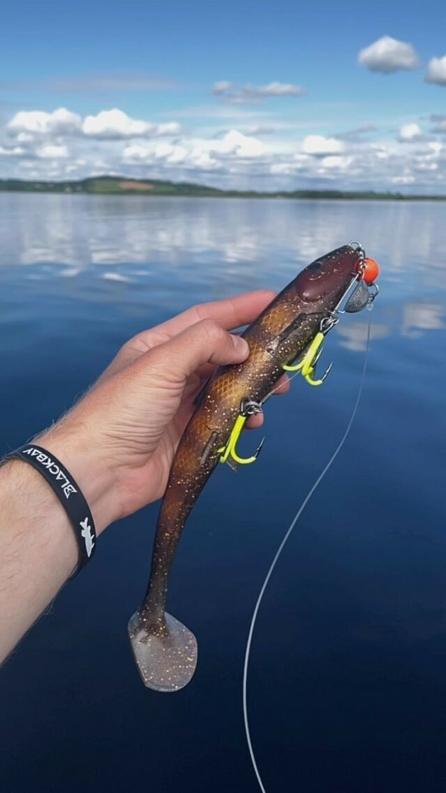 Job done!

BlackShad “Irish Bream“ 28 cm combined with the new SPEAR-21 UVC and leaded with “The Lead Clip“ 💯

@bkkhooksinternational
@pikecraft_fishing
@bigoneoutdoor
.
.
.
.
#blackbayfishing #blackbay #blackbug #blackshad #fishinglures #bkkhooks #fishing #pikelures #fishinglife #pikefishing #pike #gädda #luccio #softbait #hecht #esox #gäddfiske #hauki #snoek #carp #trout #barsch #catfish #zander #brochet #bigpike #catchandrelease #bigbait #predatorfishing #lurefishing
