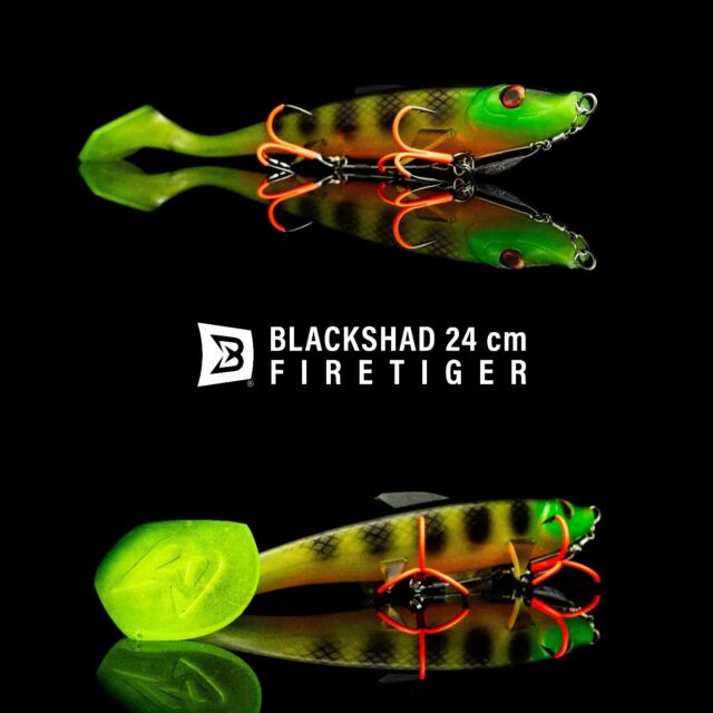 The key features of the BlackShad make this lure effective and easy to use:

.

TRIANGULAR SECTION

Makes the lures lighter, however it keeps a large profile effect.

.

AERODYNAMIC PROFILE

Easy to cast like a rocket to long distance with a perfect flying balance.

.

OVERSIZED PADDLE

Extreme wobbling action to attract the fish from long distance

.

MATCHING RIG

BKK BB Trigger-21 perfectly matches with any size of BlackShad
.
.
.
.
#blackbayfishing #blackbay #blackshad #fishinglures #bkkhooks #fishing #pikelures #fishinglife #pikefishing #pike #gädda #luccio #softbait #hecht #esox #gäddfiske #hauki #snoek #carp #trout #barsch #catfish #zander #brochet #bigpike #catchandrelease #bigbait #predatorfishing #lurefishing
