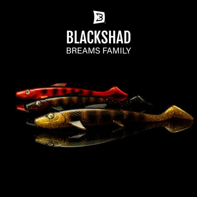 BlackShad - The Breams Family

GOLDEN BREAM🥇| IRISH BREAM ☘️ | SPICY BREAM🌶️

What’s your favourite of the family?
.
.
.
.
#blackbayfishing #blackbug #blackshad #fishinglures #pike #gädda #luccio #hecht #esox #gäddfiske #hauki #snoek #brochet #catchandrelease