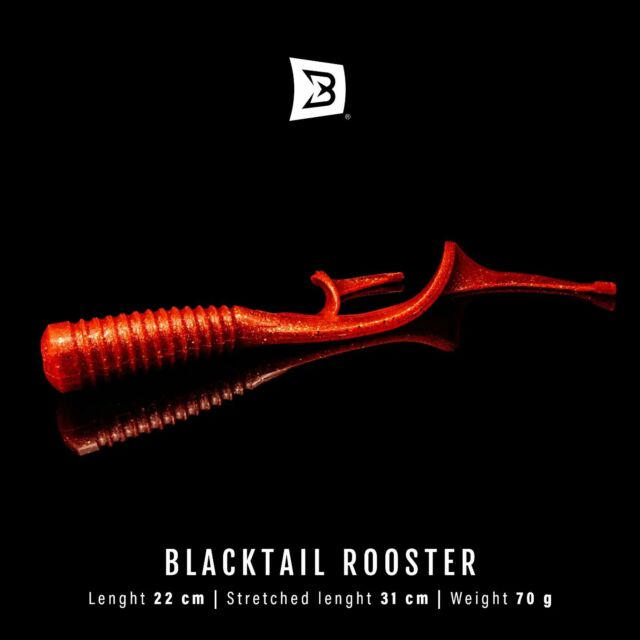 The Rooster is the biggest Blacktail with a unique shape and action. Thanks to its characteristics it is able to transform any hybrid lure in a big bait.

.
.
.
.

#blackbayfishing #blackbug #blackshad #fishinglures #pike #gädda #luccio #hecht #esox #gäddfiske #hauki #snoek #brochet #catchandrelease