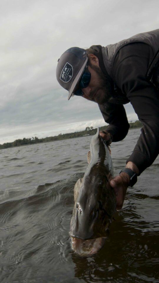 Treat them well, keep them wet…💦
.
.
.
.

#blackbayfishing #blackbug #blackshad #blackbugbeetle #beetle #fishinglures #pike #gädda #luccio #hecht #esox #gäddfiske #hauki