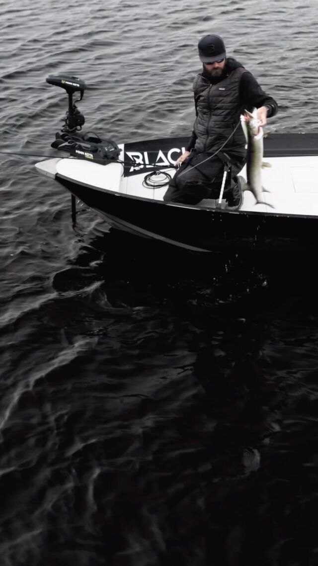 PIKE FISHING FROM THE SKY 🚀

🌪️ BlackBug Beetle ‘White Fury’ 

#fishingvideos #blackbayfishing #pikefishing #hechtangeln #fishingreels #blackbugbeetle #fishinglures #roofvissen #luccio