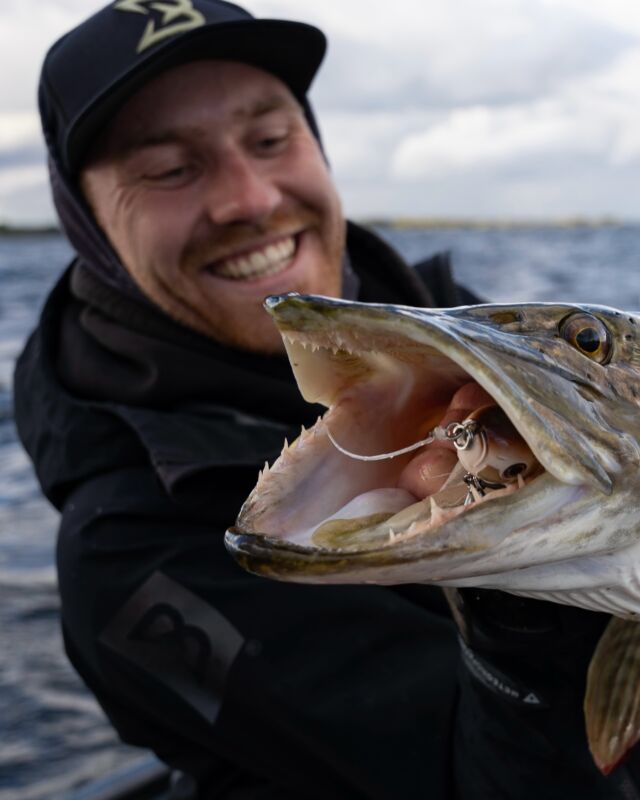 ⚜️ CHUB IN TROUBLE! 
Quirin sure does know how to pick the pike their favorite color, and he’s right considering the Beetle is completely inhaled 😱

#blackbayfishing #blackbugbeetle #pikefishing #hechtangeln #roofvissen #catchoftheday