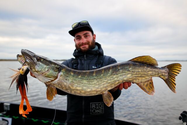 Beetle XL prototype testing is in full effect! 🤩 Who’s ready to cast this big bait? 🚀

#blackbayfishing #pikefishing #beetlexl #snoekvissen #catchandrelease #pikefishing