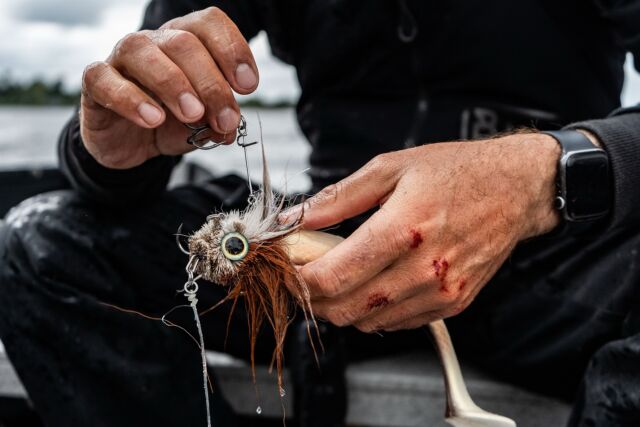 Another one bites the dust - in this case - the BlackBug Custom Color ‘Chub’ ⚜️

#blackbayfishing #blackbug #pikefishing