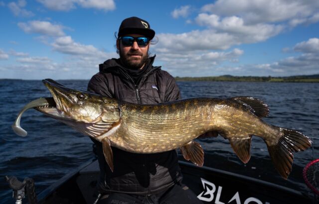 The pike wanted the Beetle XL badly! 🤯

#blackbayfishing #bigpike #beetlexl #hechtangeln #catchandrelease #snoek #luccio #pikefishing