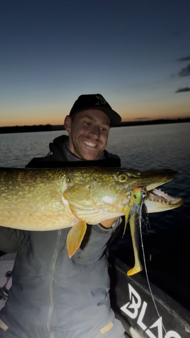 NIGHT HUNTING FOR PIKE 🌙 

👉🏼 BlackBug Beetle ‘Tench’ 💚

#blackbayfishing #bigpike #fishingvideos #fishingreels #gäddfiske #catchandrelease #snoekvissen #fishinginireland