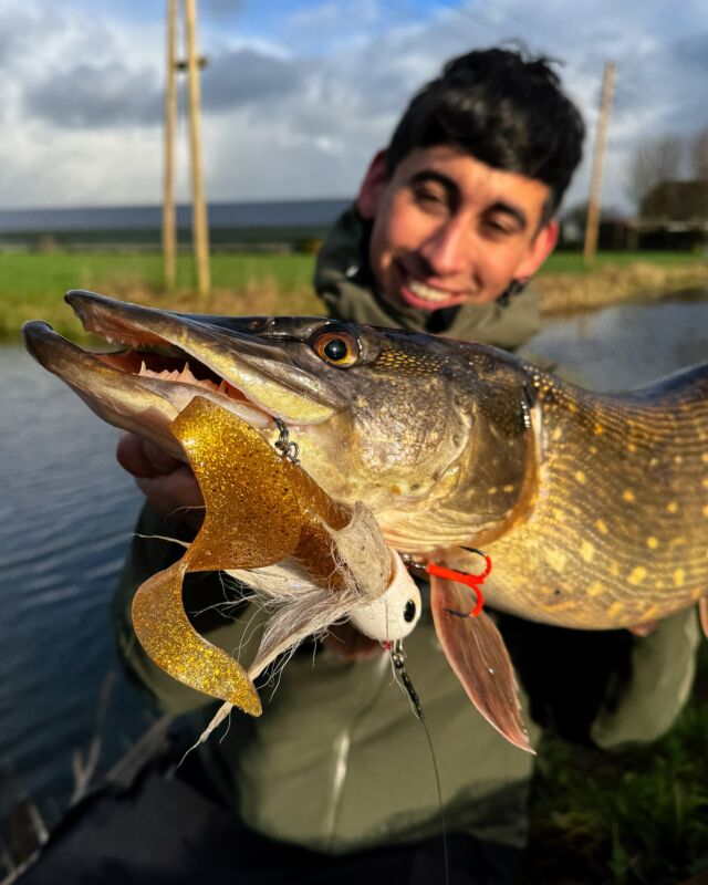 Polder fishing at it’s finest 🇳🇱
A nice Dutch pike for Bjorn caught on the Beetle ‘White Fury’ combined with the BlackTail Curly ‘Golden Nugget’ 🏆

#blackbayfishing #blackbugbeetle #pikefishing #snoekvissen #roofvissen #polderfishing #catchandrelease