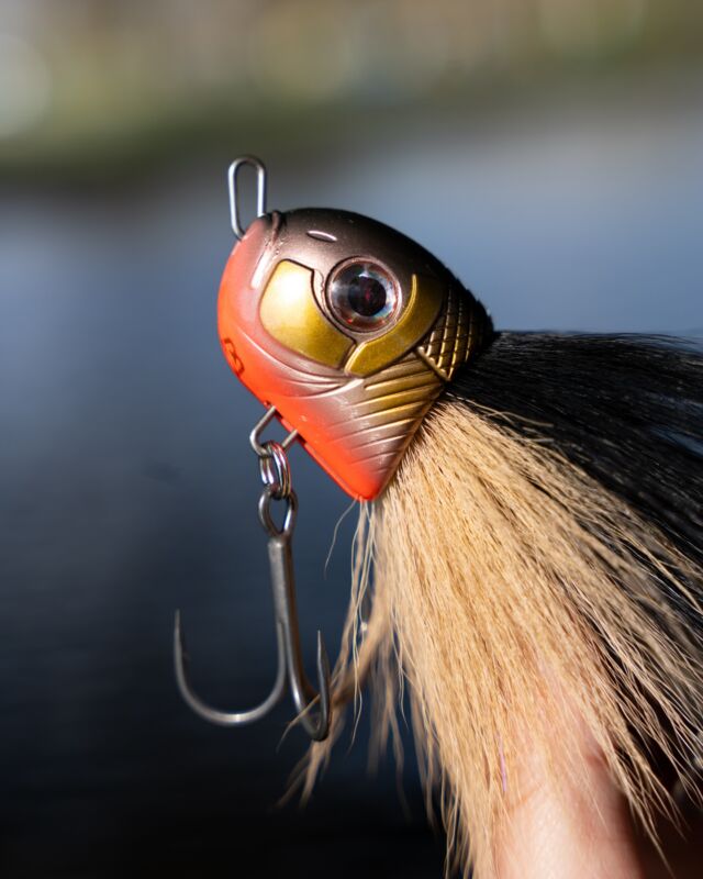 BlackBug Beetle ‘Dusk Bream’ 🌆
With it’s dark gold and orange colors this is a versatile lure that can be used in clear and as well in murky waters. We absolutely love it! Do you? 😍

#blackbayfishing #blackbugbeetle #duskbream #pikefishing #hechtangeln #snoeken #roofvissen #pescare #pikebait