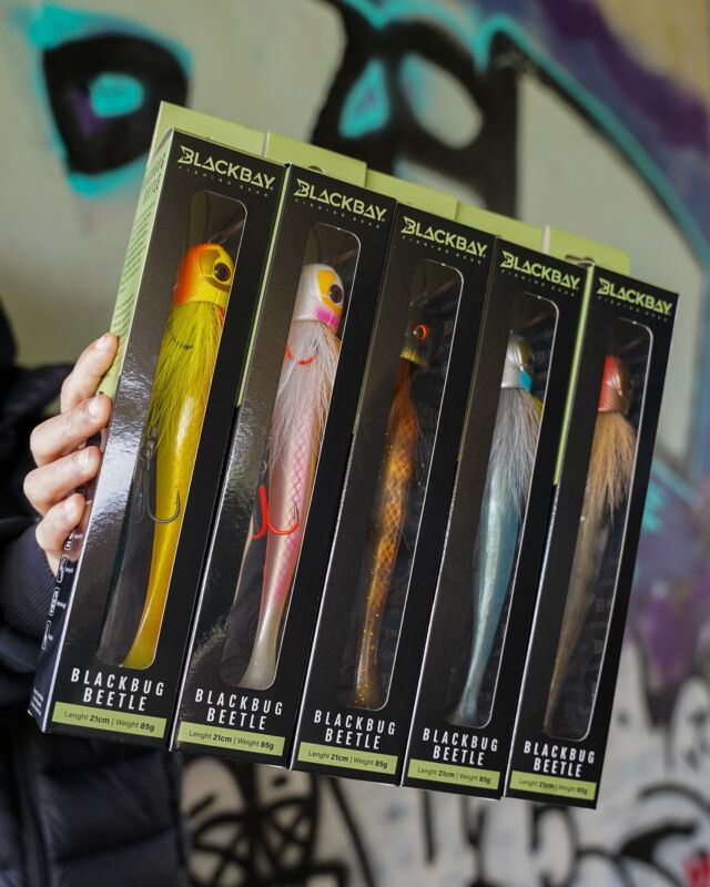 3 MORE DAYS TO GO! 🔜
Who’s ready for the new colors of the Beetle? 🤩

#blackbayfishing #blackbugbeetle #pikefishing #luccio #roofvissen #hechtangeln #snoekvissen #kunstaas #pikelures