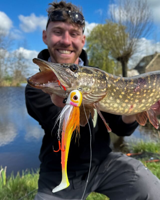 The new Beetle color ‘Albino’ did the trick 🐊 
Quirin got to expirience some polder sessions right before the closed season in the Netherlands. We are hyped for next season, are you? 🚀 

#blackbayfishing #blackbugbeetle #fishinglures #pikebait #pikefishing #hechtangeln #snoekvissen #polderfishing #roofvissen #catchandrelease