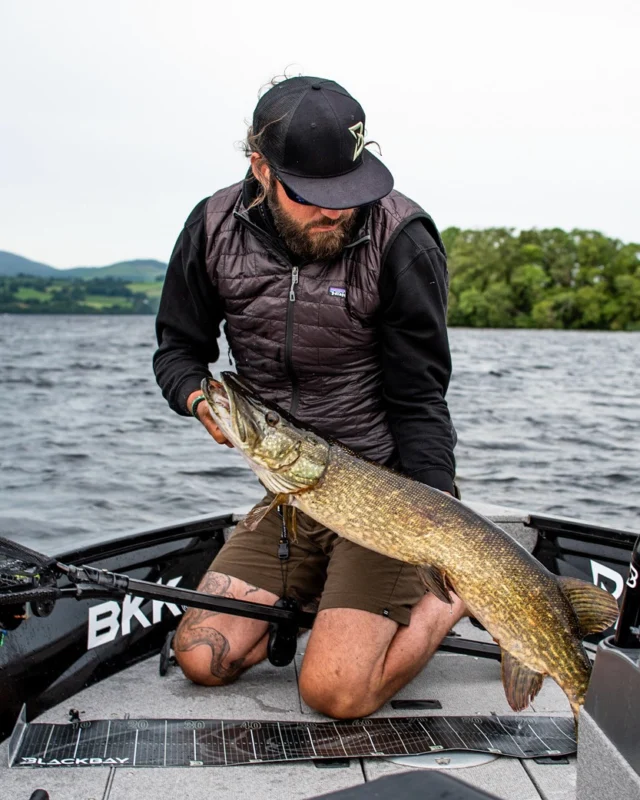 The Irish summer unlocks the full potential of pike fishing 🍀 

#blackbayfishing #blackbaylodge #fishinginireland #hechtangeln #luccio #pikefishing #snoekvissen #roofvissen #pescare #catchandrelease #fishingdaily