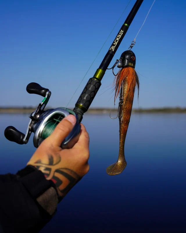 Where the only noise is the splash of the BlackBug Beetle 🪲 Who else sees fishing as their escape from life? 

#blackbugbeetle #blackbayfishing #pikefishing #fishingdaily #roofvissen #hechtangeln #bigpike #snoeken #boatfishing #blackbaylodge
