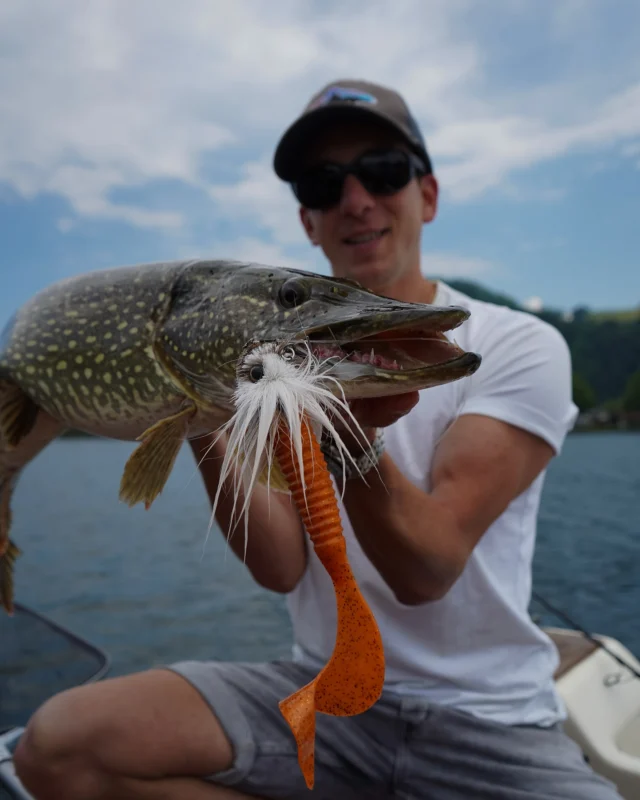 BLACKBUG POWER 💥 
Perfect for hunting pike over big weed beds or on the deeper drop offs and for those fish that are pelagic around large school of baitfish 🐟 

📸 @melligerrobin 

#blackbayfishing #blackbug #pikefishing #snoekvissen #gädda #roofvissen #luccio #bigpike #instafishing