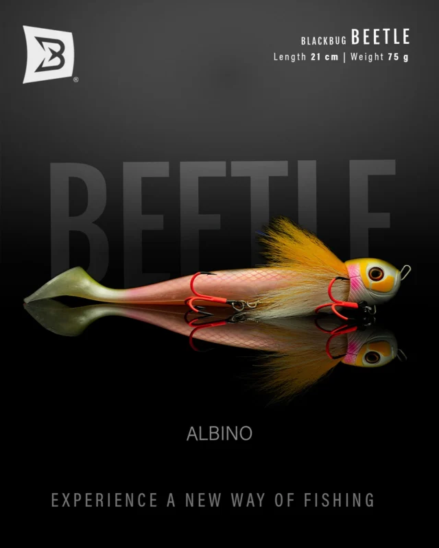 BlackBug Beetle ‘Albino’ 💛🩷🤍

With its high-contrast, eye-catching colors, it’s perfect for both clear and murky waters. Get yours now! 🛒 

#blackbayfishing #blackbugbeetle #snoekvissen #pikefishing #hechtangeln #pikelures