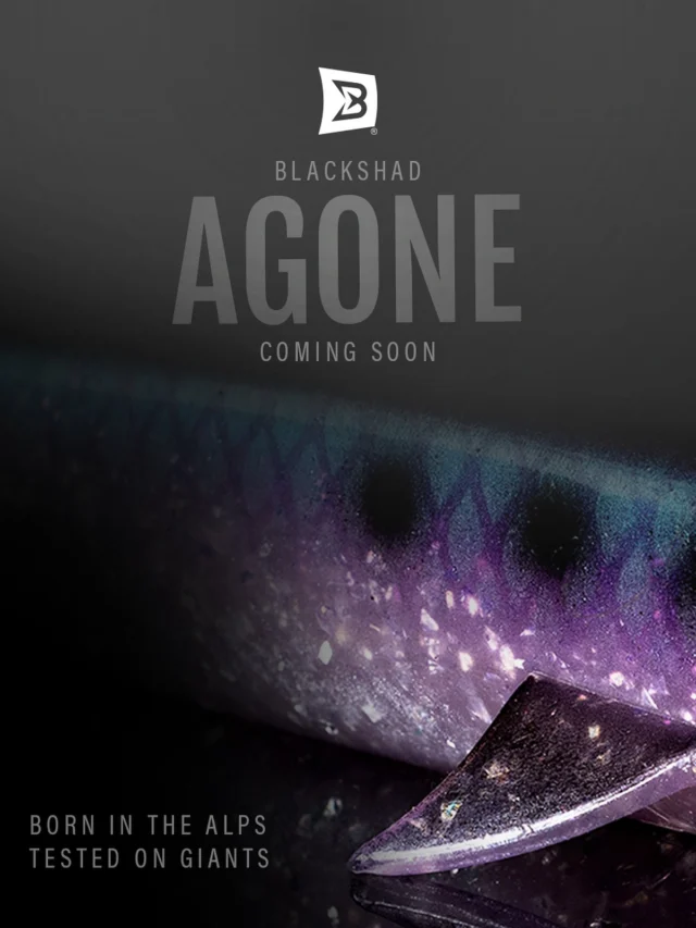 Born in the Alps, tested on giants 🐊
Something real is coming… 👀

The perfect baitfish imitation, designed for alpine waters.

Stay tuned! #BlackShadAgone

‌

#BlackBay #blackbayfishing #pikefishing #predatorfishing #lurefishing #trophyfish #pikeanglers #catchandrelease #fishinglife #pikelures #fishinggear