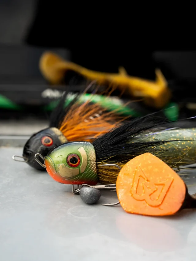 Battle scars of the Beetle ⚔️
Pike just can’t resist it💥
‌

#BlackbugBeetle #BlackBay #blackbayfishing #pikefishing #predatorfishing #PikeLures #lurefishing #trophyfish #pikeanglers #catchandrelease #fishinglife #pikelures #fishinggear