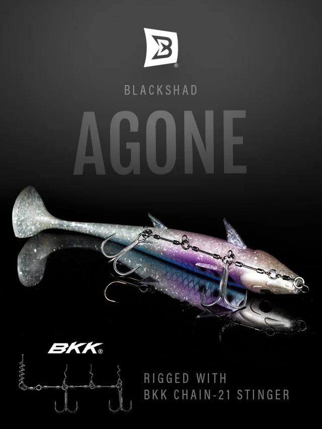 BlackShad Agone meets the new BKK Chain 21 stinger ⛓️

The perfect rig to enhanced mobility, unmatched hooking efficiency and absolute trust in every strike.
A setup built to unlock the true power of the BlackShad.

🟣💎⚪️

Available now in all 4 sizes 📏

#BlackShadAgone #BlackBay #blackbayfishing #pikefishing #predatorfishing #lurefishing #trophyfish #pikeanglers #catchandrelease #fishinglife #pikelures #fishinggear