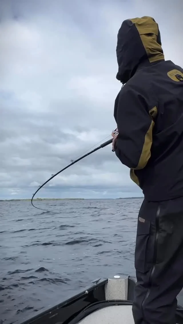 When the pike T-Bones the Beetle and bites off the tail you know he wanted it badly 🦴 

👉🏼 BlackBug Beetle ‘Irish Bream’ 
👉🏼 @bigoneoutdoor ‘WADING CICLONE 3L‘

#blackbayfishing #bigoneoutdoor #pikefishing #hechtangeln #luccio #pesca #blackbugbeetle #catchandrelease #snoekvissen #instafishing #fishingreels