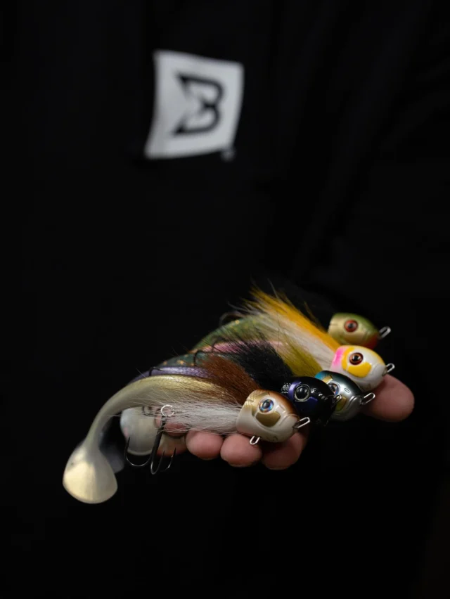 Are you ready for the Junior? 👶🏻
Small in size 👉🏼 giant in results.

The wait is almost over... 🕙
‌

#blackbayfishing #beetlejr #blackbugbeetle #fishinglures #pikefishing #predatorfishing #lurefishing #pikeanglers #zanderfishing #catchandrelease #trophyfish #pikelures #fishinggear #fishingcommunity