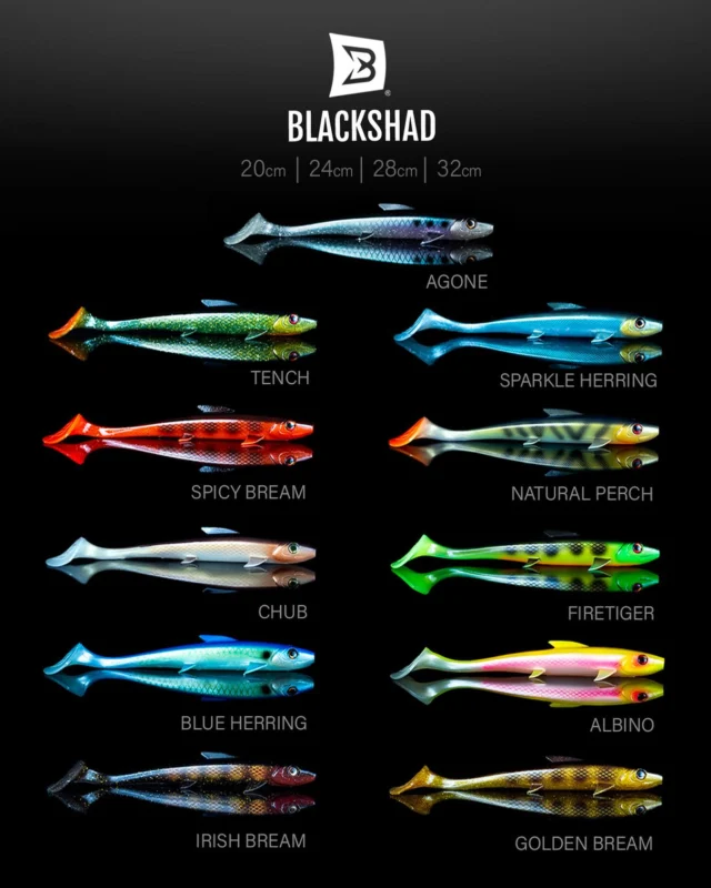Clear or murky water, day or night.. 👇🏼
11 different colors and 4 different sizes to cover it all 🎨
If you had to pick just ONE BlackShad, which would it be and what’s your reason?

#blackbayfishing #blackshad #predatorfishing #freshwaterfishing #pikefishing #zanderfishing #perchfishing #catchandrelease #fishinglife #fishingaddict #fishingcommunity