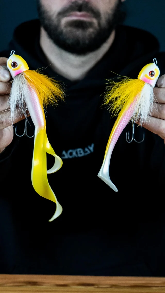 The wait is over! The Beetle Jr is out now! 😱

The compact version of our most iconic lure,
now paired with the new BlackTail Shad Jr and Rooster Jr tails.

Available now on our webshop and at your local tackle dealer 🛒

Small size, giant results.

Length 17cm | Weight 35g

#blackbayfishing #beetlejunior #beetlejr #pikelures #fishinglures #instafishing #predatorangling #fishingdaily #pikefishing #zanderfishing