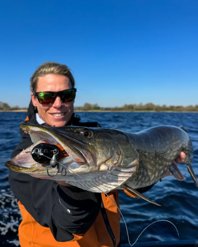 When the color matches the water, everything falls into place 🍀

👉🏼 BlackBug Beetle ‘Irish Bream’

#blackbayfishing #blackbugbeetle #pikefishing #pikeangling #predatorfishing #fishinggear #pikelures #fishinglife #bigpike #catchandrelease #fishingeurope #fishinginireland