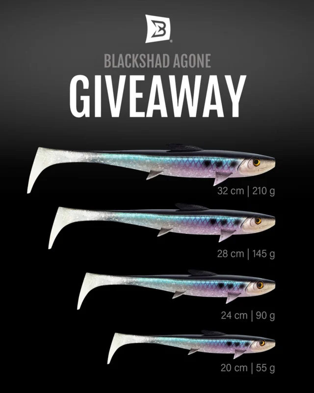 ENDED!! 🚫 🚨 GIVEAWAY 🚨
Win the FULL BlackShad AGONE set (20, 24, 28 and 32 cm)!

To enter:
1️⃣ Follow @blackbay_fishing
2️⃣ Like this post
3️⃣ Tag 2 friends who need this
4️⃣ Share to story and tag us

Winner will be announced in 7 days on 18th of November. Good luck 🍀

⚠️ Disclaimer: This giveaway is in no way sponsored, endorsed, or administered by Instagram. A winner will be selected at random through a verified third-party platform and officially announced on this account. Please note: if you are contacted by any other account claiming to be us, it is fake. Stay cautious and do not share personal information.

#blackbayfishing #blackshad #blackshadagone #giveaway #fishinglures #instafishing #roofvissen #predatorangling #fishingworldwide #pikefishing #zanderfishing #bigfish
