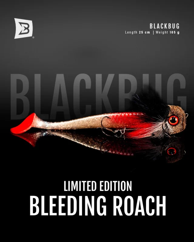 Limited Edition 🩸 BlackBug ‘Bleeding Roach’
Exclusively available as a bundle on our webshop. 
Includes the Bleeding Roach + 3 tails: Rooster, Double and Curly.
Designed for big predators. Limited stock available, link in bio 🛒

#blackbayfishing #blackbug #bigpikelures #fishinglures #instafishing