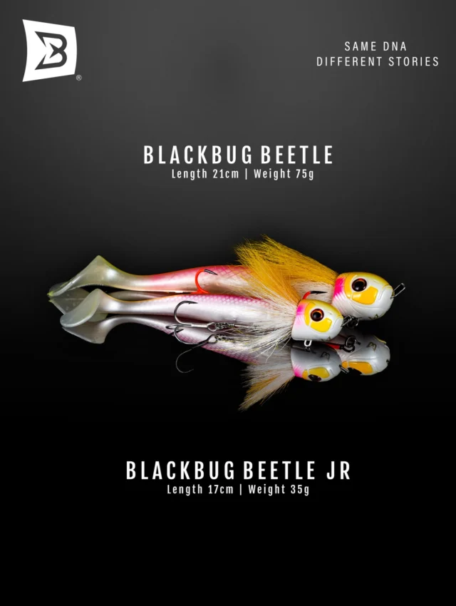 Same DNA, different stories.
The Beetle for when they’re hunting big, the Beetle Jr when they need a little finesse 🎣

#blackbayfishing #pikebait #blackbugbeetle #beetlejr #predatorfishing