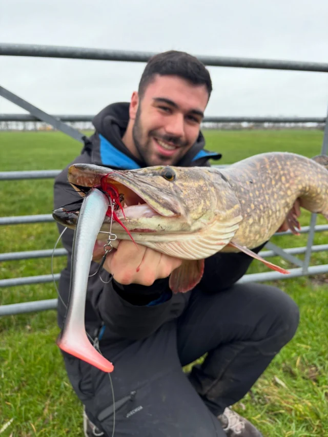 First victim on the Beetle Mikkechickk edition 🇳🇱 A color combination specially for the Dutch polders. 
Limited stock, get them fast! 🏃🏻
Available now on our webshop or shop at @blackriver_nl 🛒

#blackbayfishing #blackbugbeetle #predatorfishing #pikefishing #catchandrelease