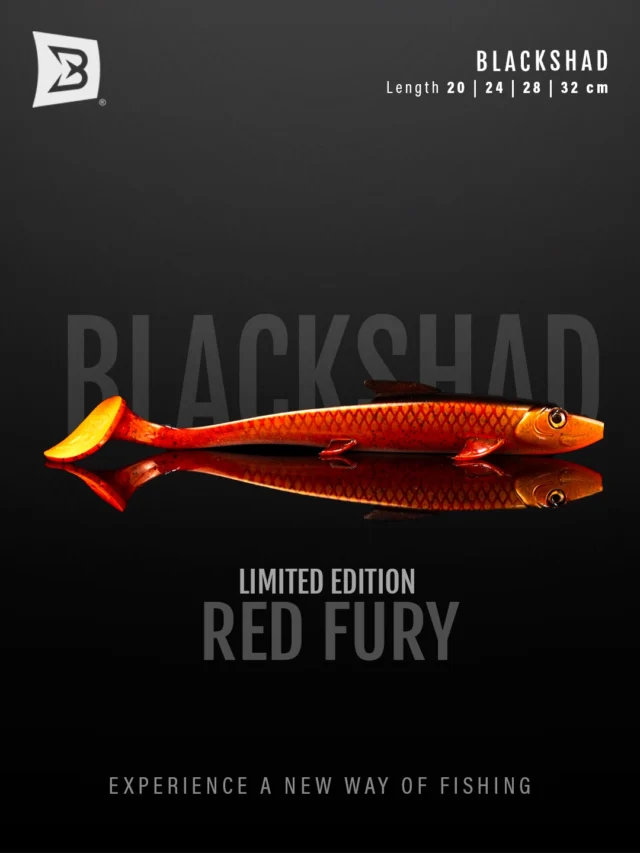 Just dropped! Limited Edition only ⚠️
The BlackShad in 2 new colors: 
👉🏼 Red Fury 
👉🏼 Night Fury 

Available in 4 different sizes: 20, 24, 28 and 32cm
Limited stock means no restock.
Grab yours before they’re gone 🏃🏻

#blackbayfishing #blackshad #fishinglures #pikefishing #predatorfishing