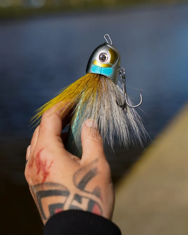 Natural flash, balanced profile, and the right amount of presence. The Beetle ‘Sparkle Herring’ keeps triggering decisive bites 💎 

#blackbayfishing #blackbugbeetle #pikelures #predatorfishing #pikefishing