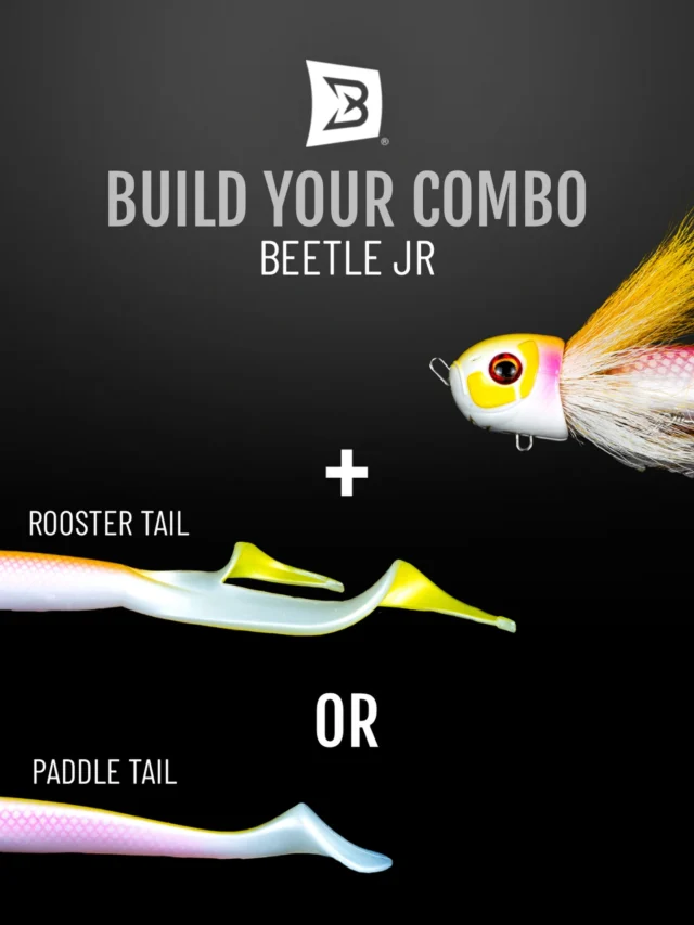 Customize the bite ‼️
Beetle Jr with Rooster or Paddle Tail as trailer 🤔 
Simple swap. Big difference 👊🏼

#blackbayfishing #beetlejr #roostertail #fishinglures #predatorfishing