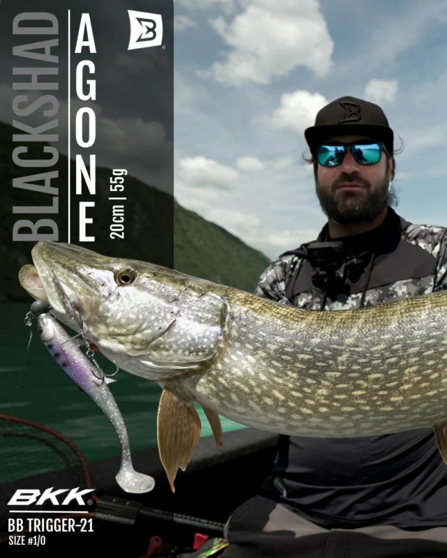 From the clear waters of a French alpine lake, the BlackShad Agone shows exactly what it was designed for ☝🏼
A natural silhouette, controlled swimming action, and reliable performance for targeting big pike 🐊

#blackbayfishing #blackshad #bigpike #hechtangeln #brochet