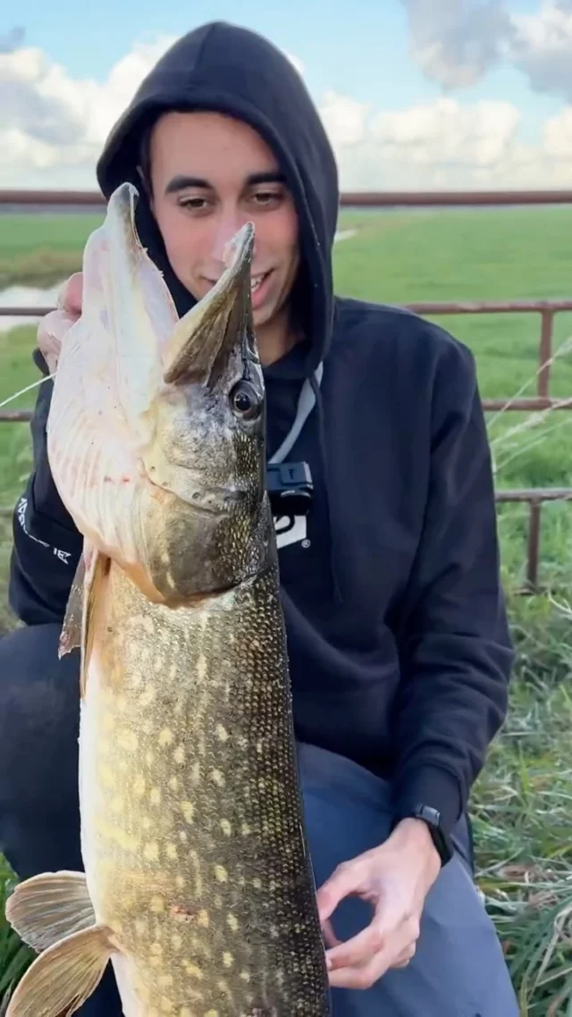 Polder fishing in the Netherlands hits different 🤯
Proof that big fish don’t always need big lures. The Beetle Jr got completely swallowed, this pike fully committed 💥 

#blackbayfishing #pikefishing #beetlejr #predatorfishing #hechtangeln