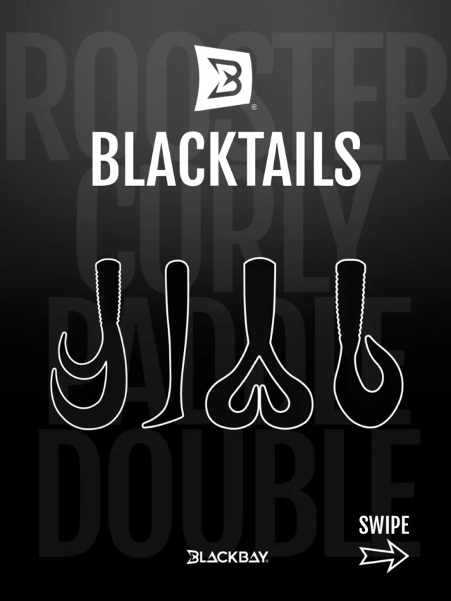 Every fish reacts differently and so should your bait. That’s why the BlackTails range gives you full control over your presentation.

Double and Curly create subtle, natural movements to tempt cautious predators. Paddle and Rooster deliver more vibration and flash for aggressive strikes 💥

➡️ Swipe through the slides to see all four tails in action and discover which one fits your fishing style.

#blackbayfishing #blacktails #pikefishing #lurefishing #predatorfishing