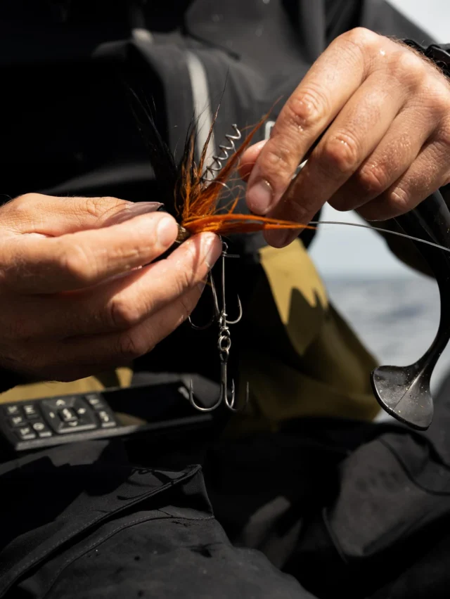 Conditions change. Your lure should too 🔄

With our range of BlackTails, you can change the action of your Beetle to match the mood of the fish. 

One head, endless combinations 🔥 

#blackbayfishing #blackbugbeetle #blacktails #fishinglures