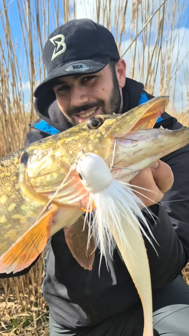 It’s the follow that gets you 😱 
Slow, controlled… getting closer… and then BOOM! 💥

👉🏼 BlackBug Beetle ‘White Fury’ ⚪️
🎣 @nick.fishing_nl 

#blackbayfishing #pikefishing #blackbugbeetle #predatorfishing #catchandrelease