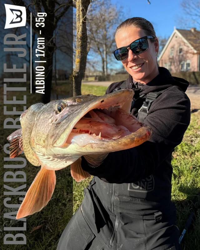 Mikky ˣ Pike 🐊

Caught on the Beetle Jr with Rooster Tail in Albino, a refined combo built for natural movement and pressured fish situations.

This pike close to a meter couldn’t resist 🍽️

#pikefishing #predatorfishing #blackbayfishing #beetlejr #blackbayfishing