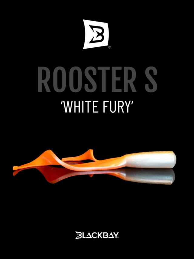 PICK YOUR FAVORITE COLOR 🎨 

The new Rooster Tails for the Beetle are almost here! 
Each color perfectly matched and ready to get bitten 💥

Release: 16/04/2026

#blackbayfishing #blackbugbeetle #roostertail #fishinglures