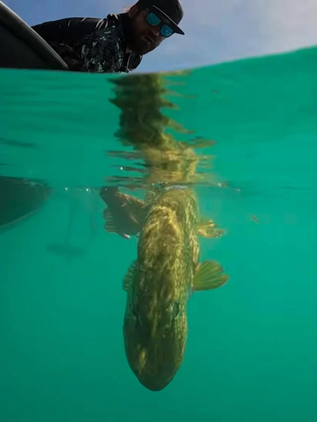 In case you missed it ⚠️

We continued our pike adventure at Lake Annecy in France, searching these deep, crystal clear waters for big predators. A stunning lake, but definitely not an easy one..

The full vlog is live on @tonyspower YouTube channel 🎥

#blackbayfishing #bigoneoutdoor #fishingfrance #bigpike #pikefishing