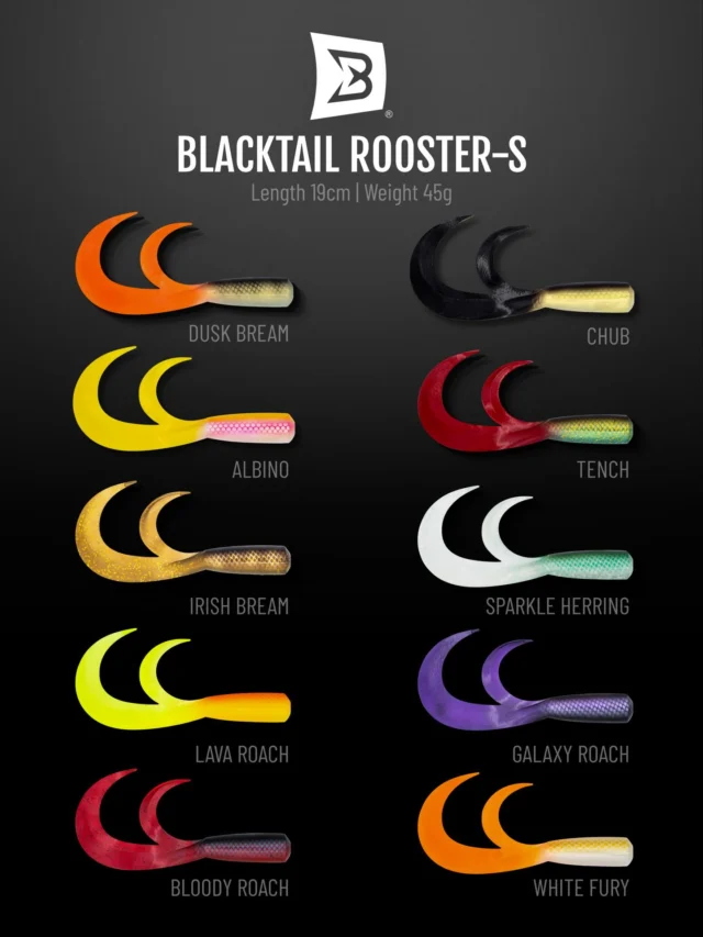 The Rooster Tail collection for the Beetle 🎨
Coming out soon! 

10 colors, perfectly matched to the Beetle head.

Which one is your pick?

👉 GALAXY ROACH
👉 SPARKLE HERRING
👉 ALBINO
👉 BLOODY ROACH
👉 WHITE FURY
👉 TENCH
👉 IRISH BREAM
👉 DUSK BREAM
👉 LAVA ROACH
👉 CHUB

#blackbayfishing #roostertail #blackbugbeetle #predatorfishing #fishinglures