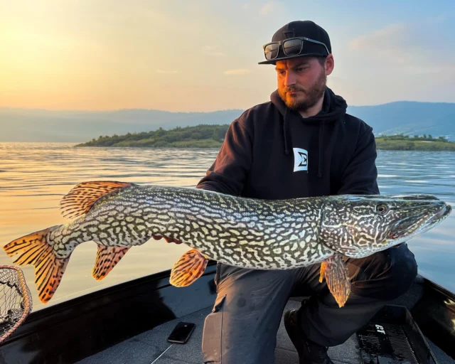 One look at this fish and you understand why color choice matters.
The BlackShad Agone blends perfectly into alpine waters, until it gets noticed 🔎 That’s when things get interesting. 

Born in the alps, tested on giants 🐊

#blackbayfishing #blackshad #pikefishing #italianpike #fishinginitaly
