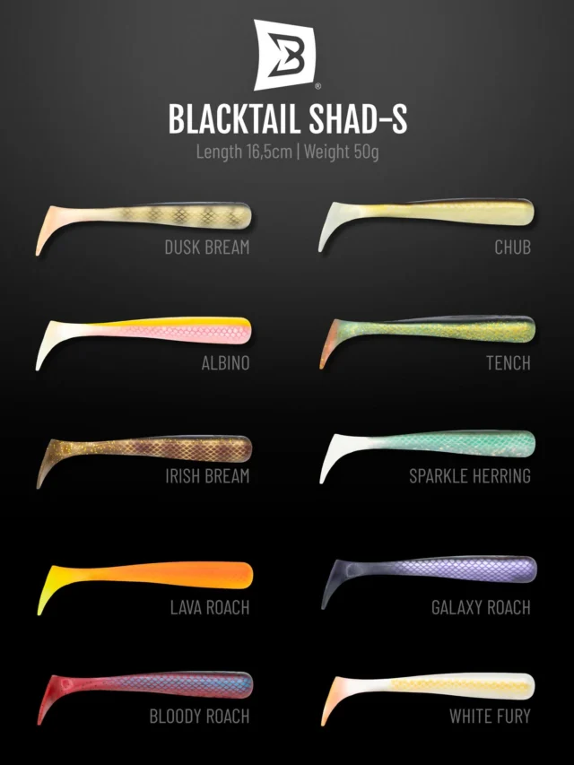 The Shad Tail collection for the Beetle 🎨

10 colors, perfectly matched to the Beetle head.

Which one is your pick?

👉 TENCH
👉 CHUB
👉 ALBINO
👉 BLOODY ROACH
👉 LAVA ROACH
👉 GALAXY ROACH
👉 IRISH BREAM
👉 DUSK BREAM
👉 WHITE FURY
👉 SPARKLE HERRING

#blackbayfishing #shad #blackbugbeetle #predatorfishing #fishinglures